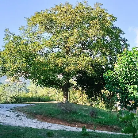 Dolcedorme Del Pollino