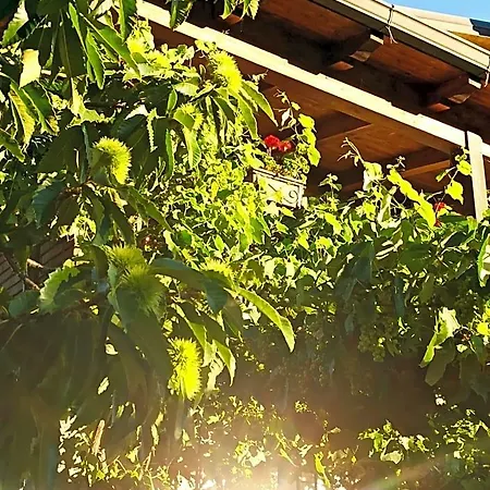 Oda ve Kahvaltı Dolcedorme Del Pollino Morano Calabro