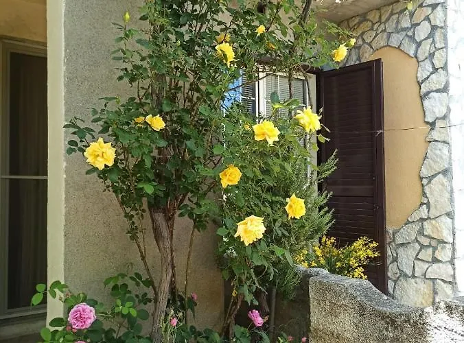 Dolcedorme Del Pollino 莫拉诺卡拉布罗